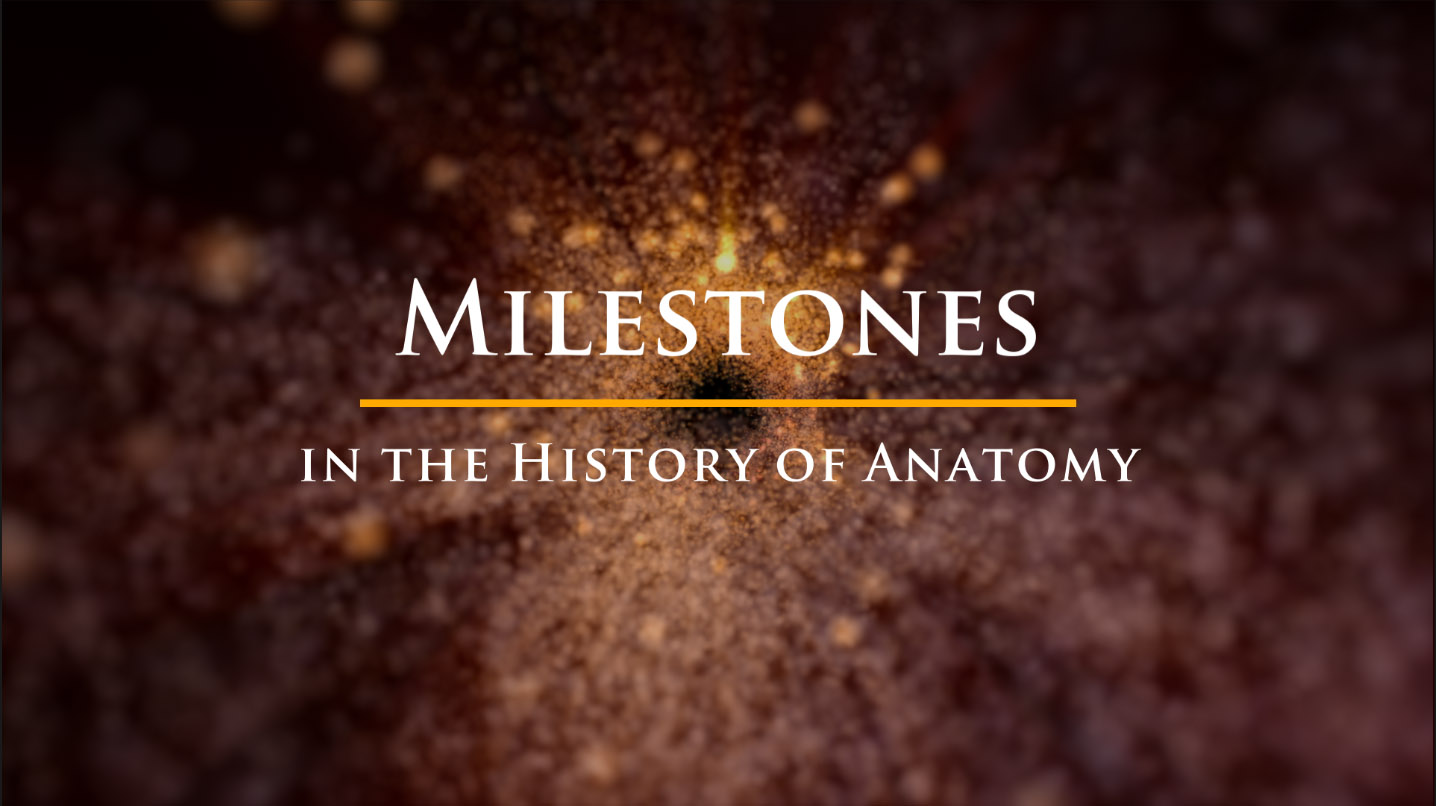 "Milestones in the History of Anatomy" animation