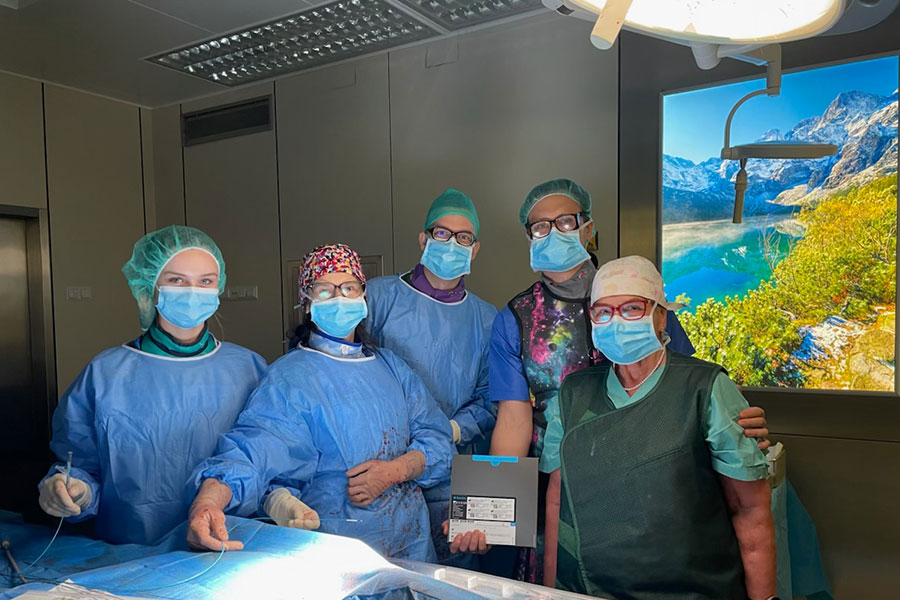 Five people in the operating room. Three women and two men are wearing blue gowns, caps, and masks. One person is holding a tool above the operating table. On the wall hangs a painting of mountains, a lake, and greenery. Ceiling lamps brightly illuminate the room.