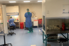 Działające w UCK WUM Laboratorium COVID kolejnym przedsięwzięciem w walce z pandemią