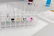 Na białym blacie w laboratorium stoi biały stojak z ośmioma probówkami zawierającymi kolorowe ciecze: zieloną, fioletową, żółtą, brązową i różową. Obok stojaka leżą kartki papieru i ołówek. W tle widoczne są butelki i pojemniki laboratoryjne.