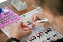 Kobieta wykonuje zabieg dentystyczny na sztucznym modelu szczęki, trzymając w ręku narzędzie dentystyczne