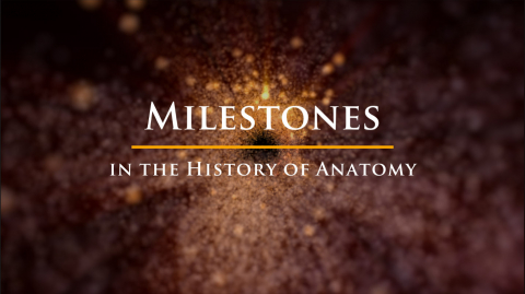 "Milestones in the History of Anatomy" animation