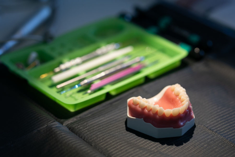 Odlew stomatologiczny zębów, za nim zielona tacka z różnymi stomatologicznymi sprzętami
