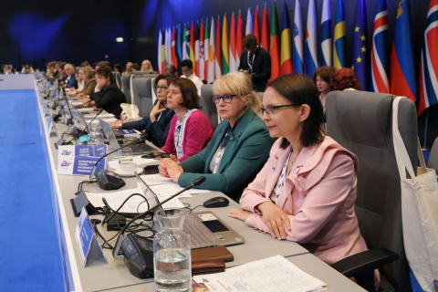 A long table in a conference room. Seated at it are about 20 people. In the foreground is a middle-aged woman wearing a light pink jacket. Each person has a microphone, laptop and documents in front of him. Behind the participants is a row of flags of various countries and a flag of the European Union. The atmosphere is formal and professional.