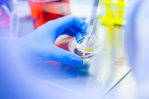 Ręka w niebieskiej rękawiczce trzyma szalkę Petriego, do której wkładana jest pipeta z płynem. W tle rozmyte elementy laboratorium: czerwony pojemnik z cieczą i żółty stojak na probówki. Scena przedstawia pracę badawczą w laboratorium.