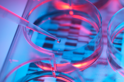 Pipeta z kroplą cieczy nad szalką Petriego. W tle wzór przypominający kod kreskowy. Całość oświetlona niebieskim i różowym światłem, co nadaje zdjęciu nowoczesny wygląd.