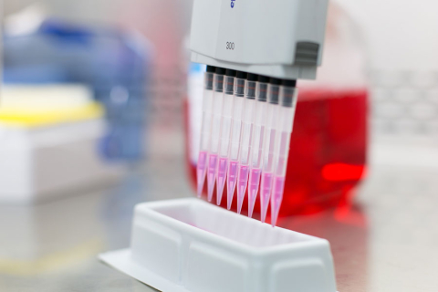Laboratory. A multi-channel pipette dispenses pink liquid into a white rectangular container. In the background, a large container with red liquid and blurred laboratory equipment.