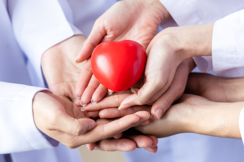 A photo showing hands holding a red heart-shaped stress ball